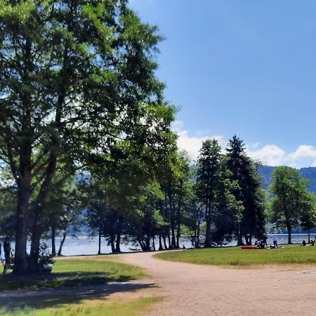 Le Chalet De La Chouille Xonrupt-Longemer Εξωτερικό φωτογραφία